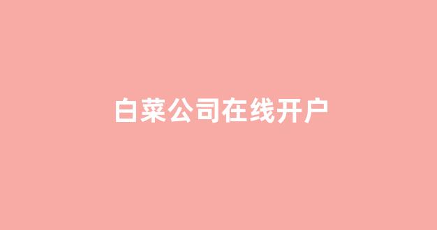 白菜公司下载